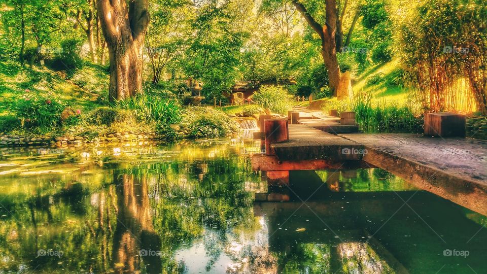 Japanese Garden in Botanical Gardens Belgrade