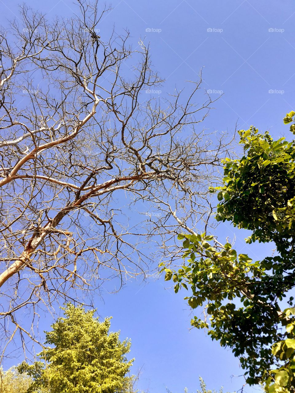 красивая природа