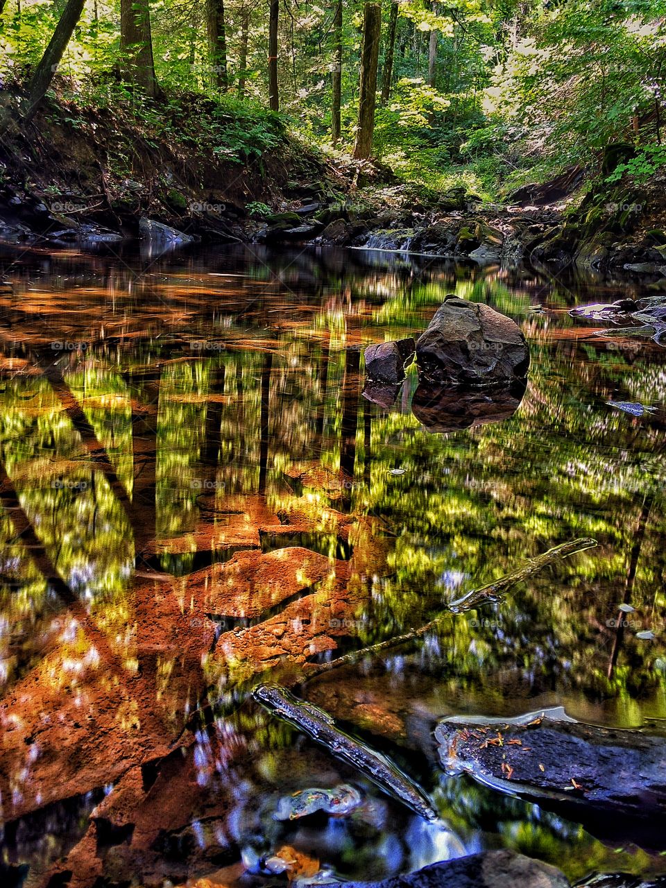 Still pond at sundown . A still pond in the middle of the forest at sundown. 