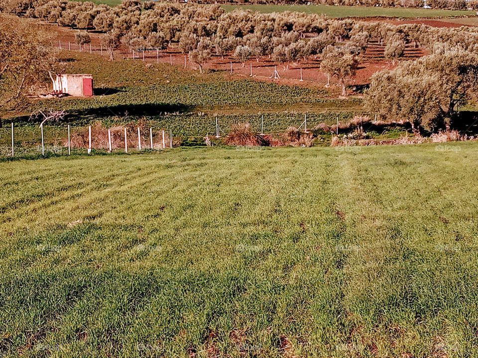 Agricultural lands