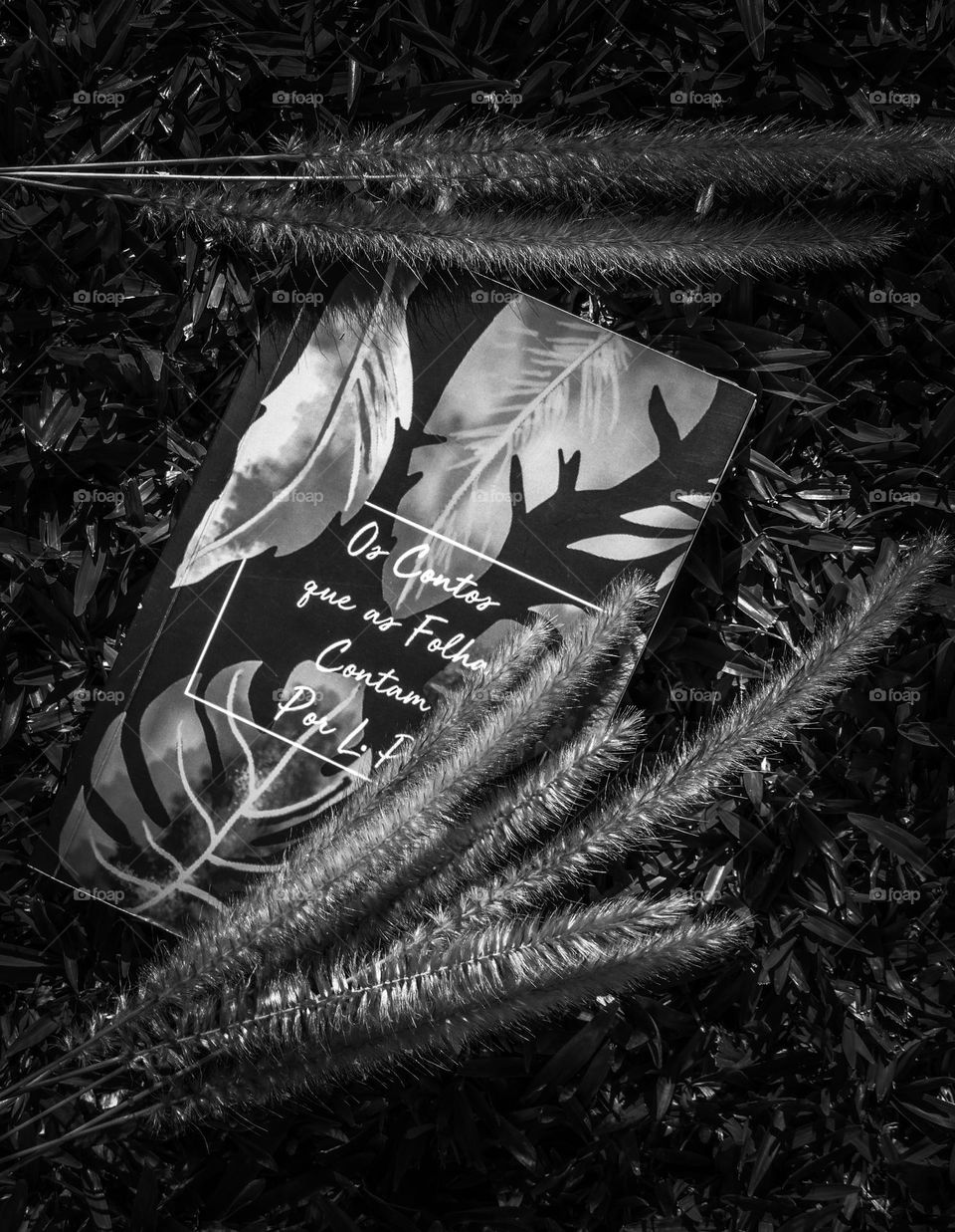 Instagram: @oscontosqueasfolhascontam follow me!