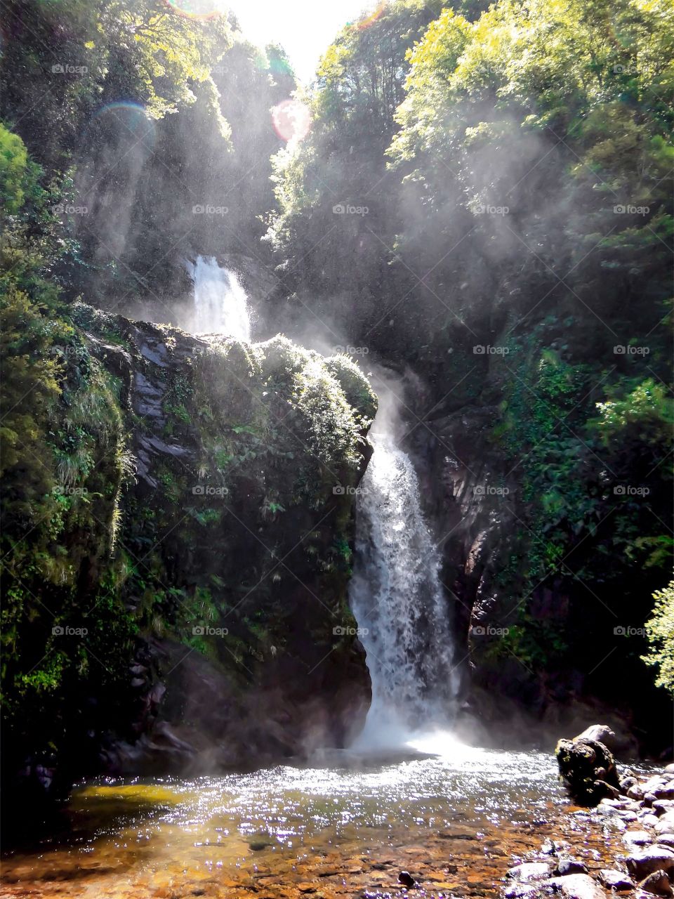 Water in Motion Chile