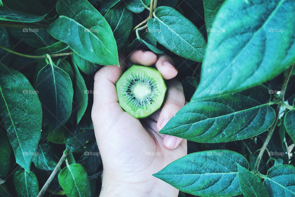 Holding a half kiwi fruit