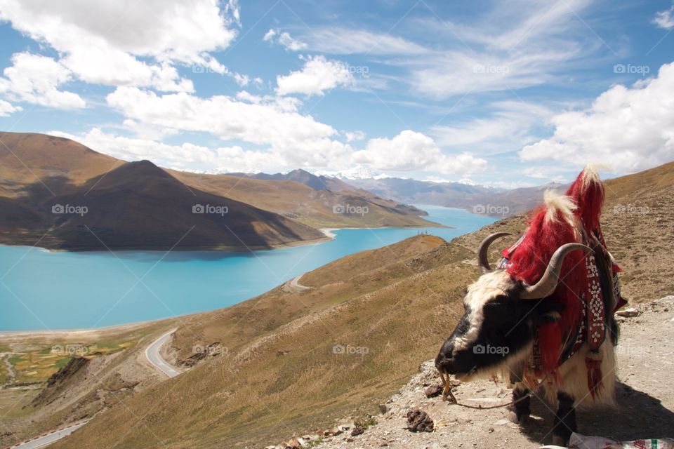 Kambala Pass in Tibet