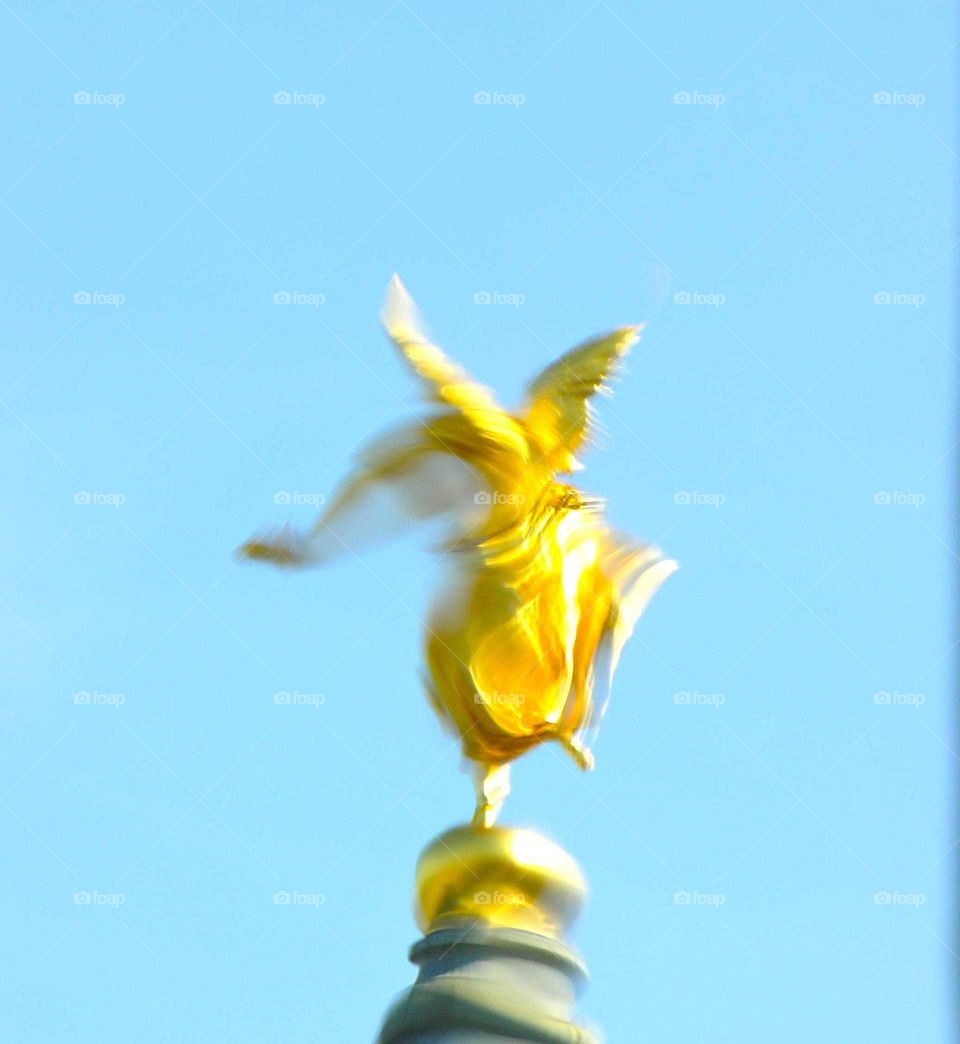 Angel flying in Dresden No.2