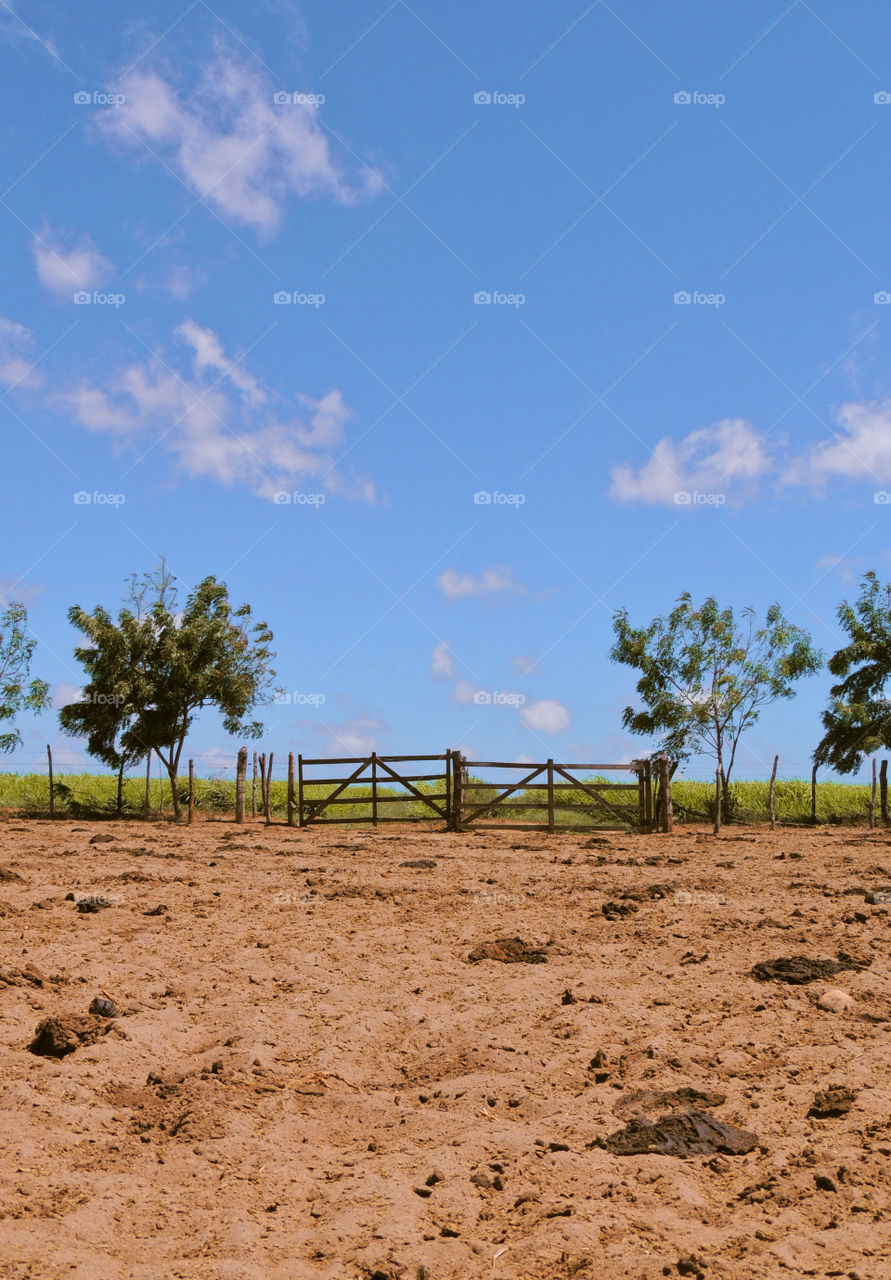 The entrance to the farm is through a wooden "fence" gate in the middle of the road. The trees create a kind of symmetry