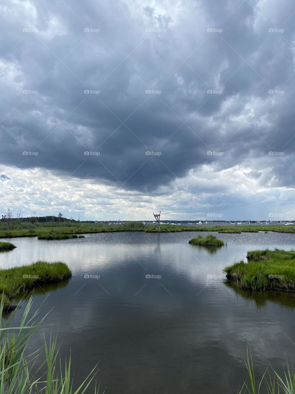 Storm clouds forming over an Osprey nest at Cattus Island Park in Toms River, NJ. Shadows of the clouds are mirrored in the waters of the Barnegat Bay.