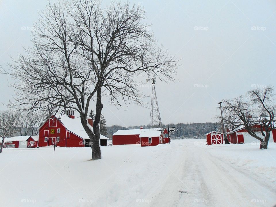 Lovely farm 