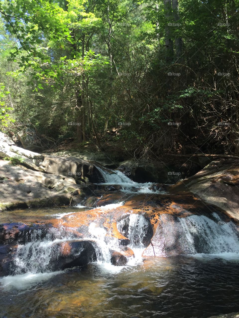 Creek in north Georgia mountains 