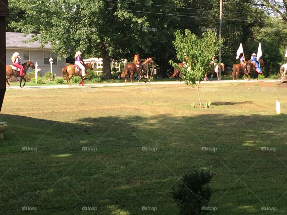 Fun when the rodeo parade goes right by your house! Look at those horses and riders!