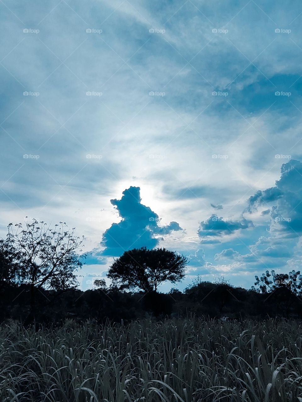 Dance of Queen of Clouds