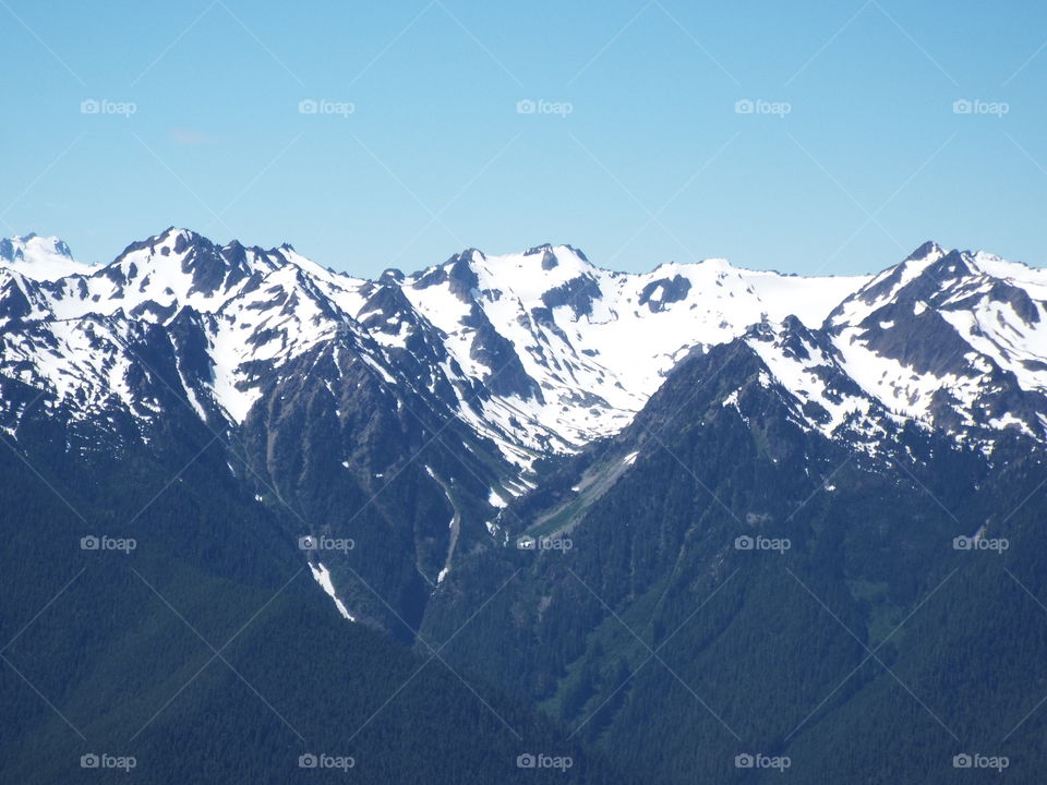 Olympic National Park.