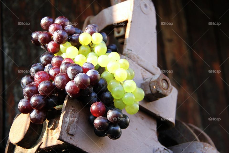 Grapes