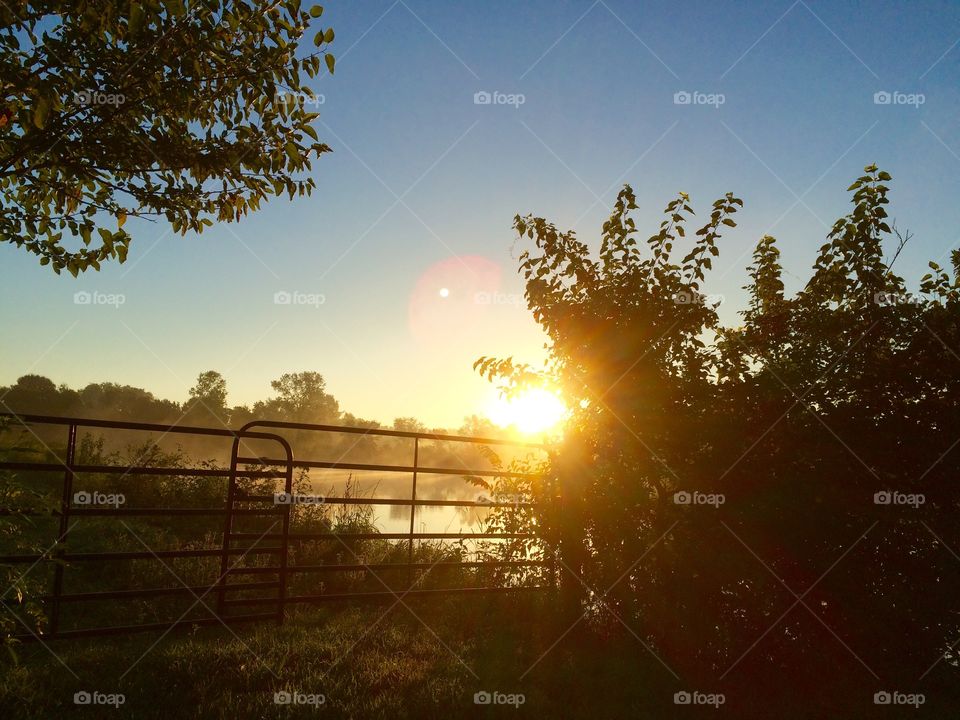 Closed gate near the lake