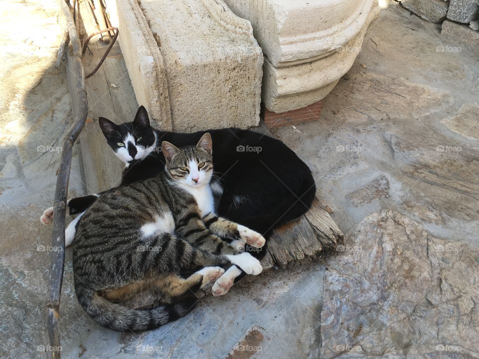 Brother and sister snuggling for an afternoon siesta on a Greek island. 