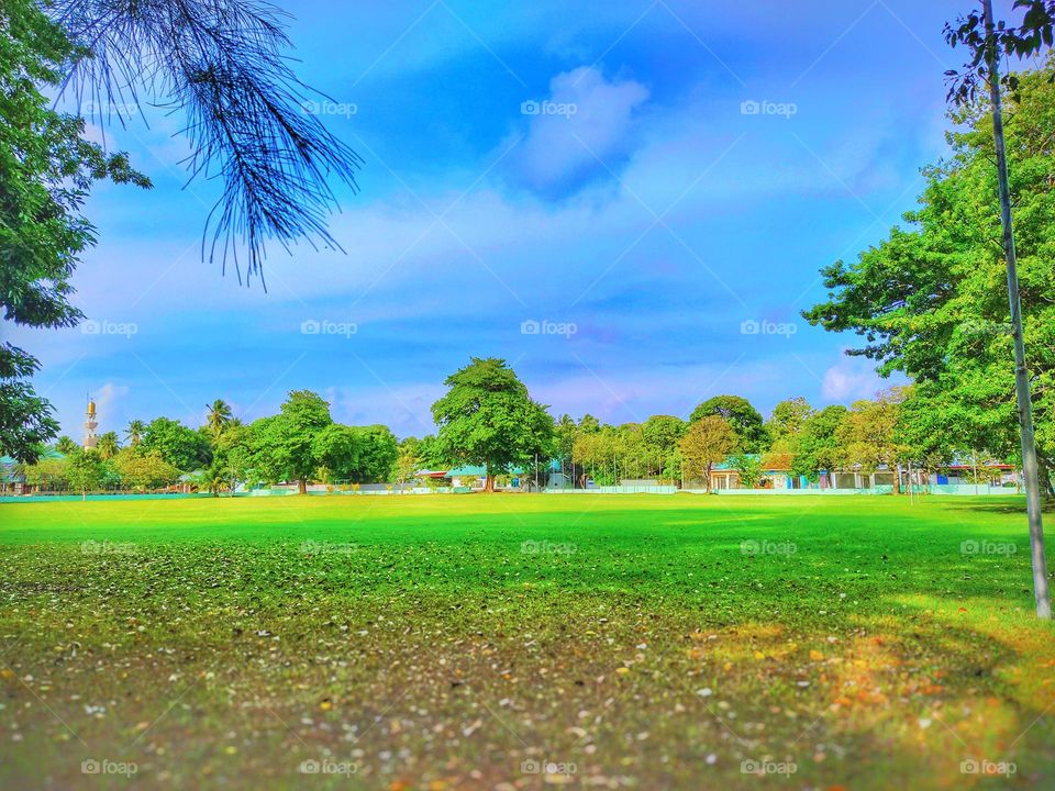 picture of a beautiful playground in a sunny day