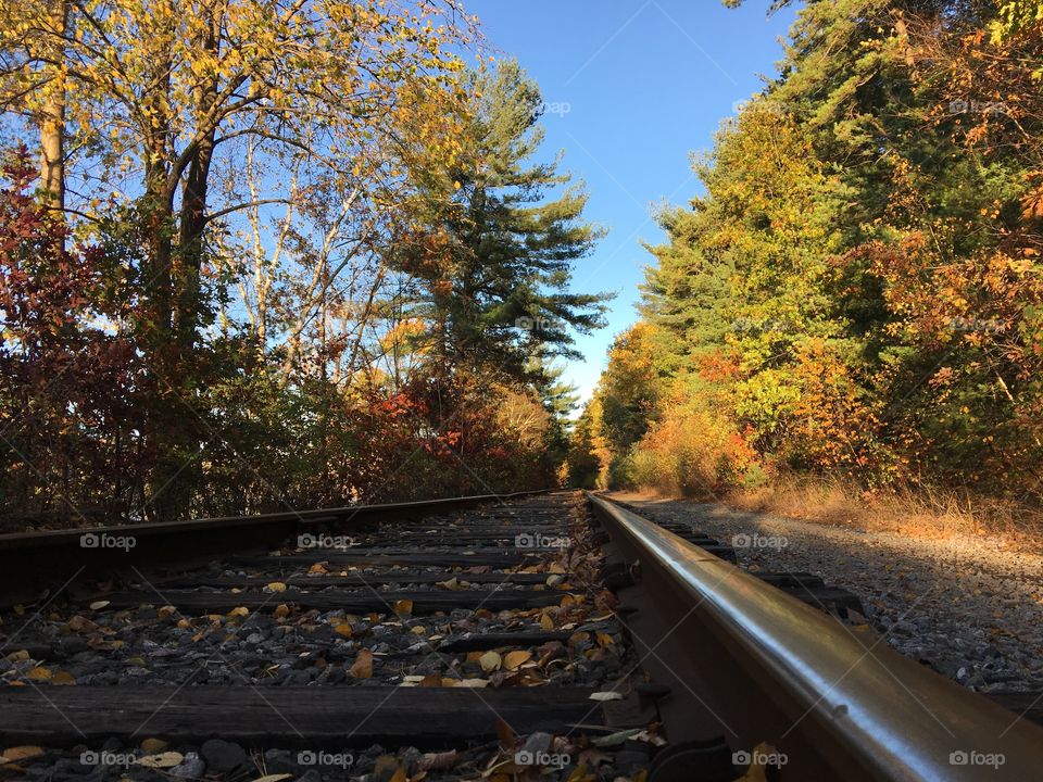 Railroad tracks 9