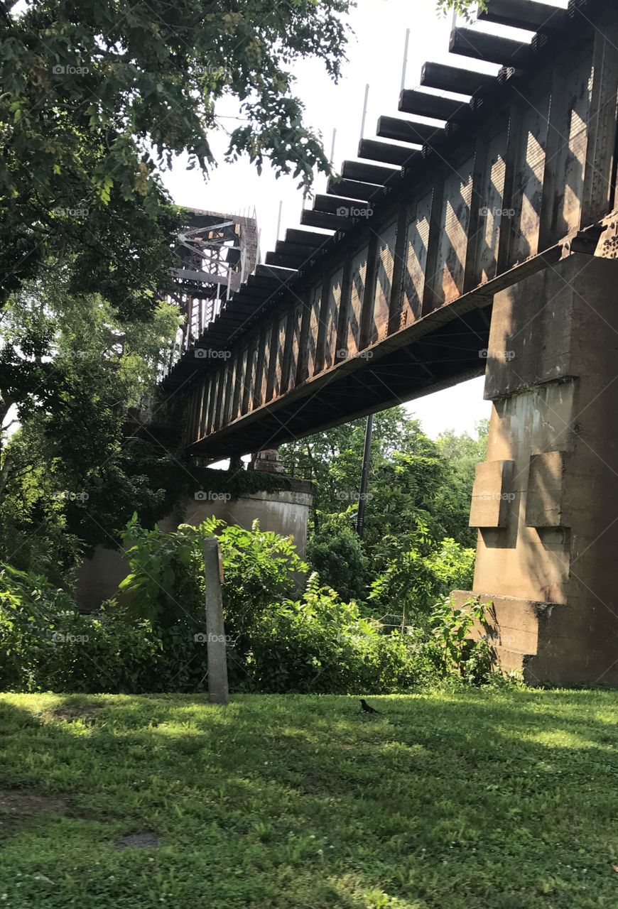 Kentucky Rusted Bridge