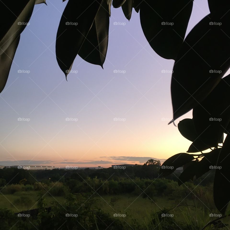 🌅Desperte, #Jundiaí, com esse bonito #amanhecer.
Que o sábado possa valer a pena!
🍃🙌🏻
#sol #sun #sky #céu #photo #nature #morning #alvorada #natureza #horizonte #fotografia #pictureoftheday #paisagem #inspiração #mobgraphy #mobgrafia