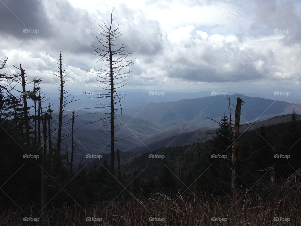 Great Smoky Mountains National Park