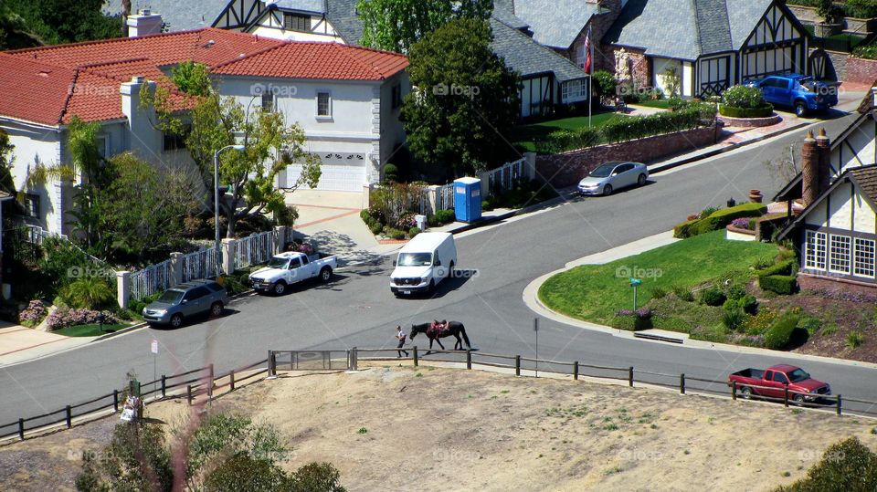 Countryside