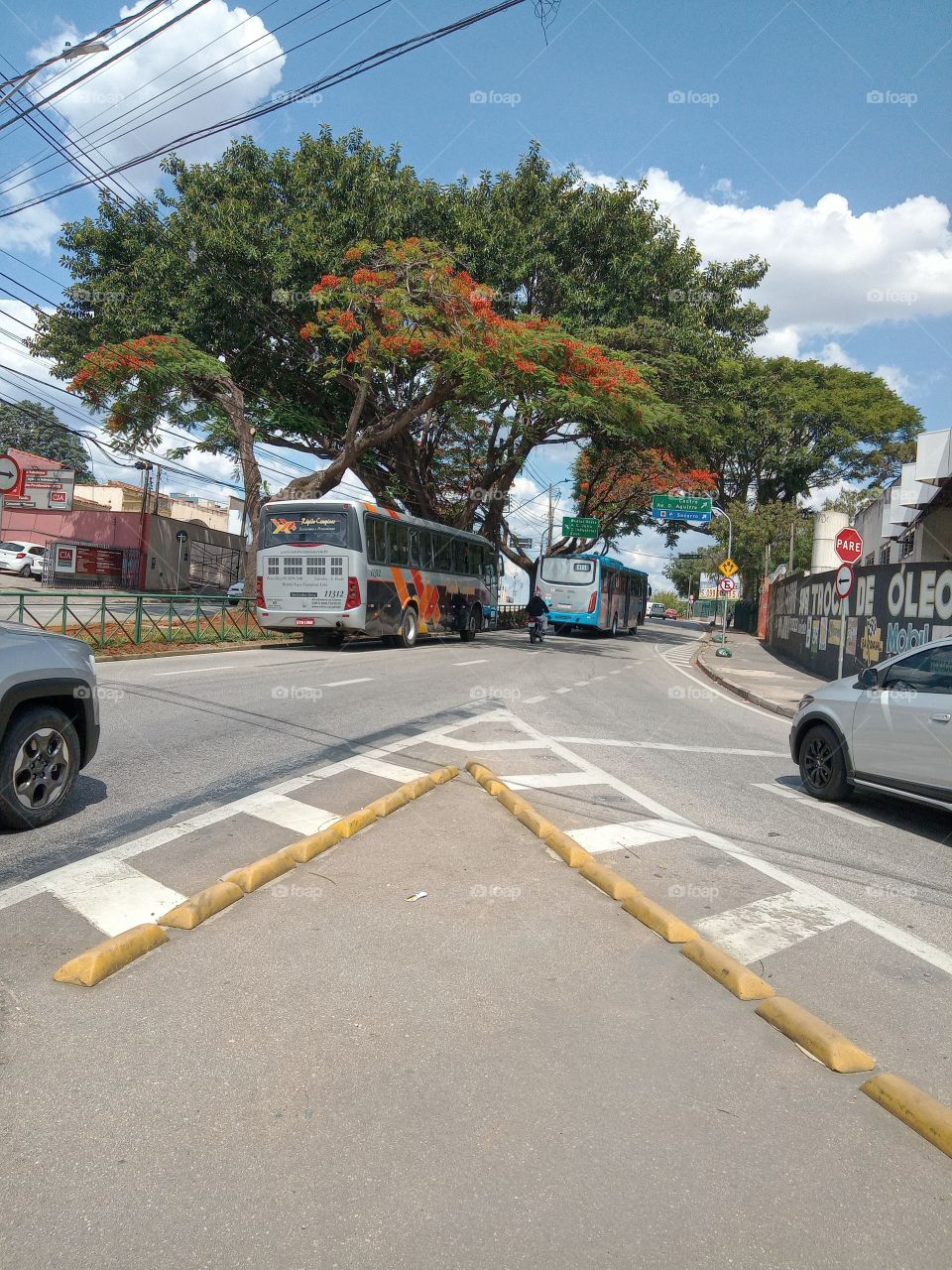 Editors'Choice Photo of the week