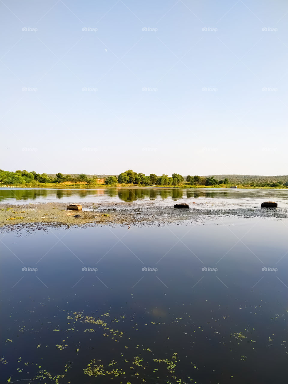 The puffy blue sky above forest and river (lake). Wide angle