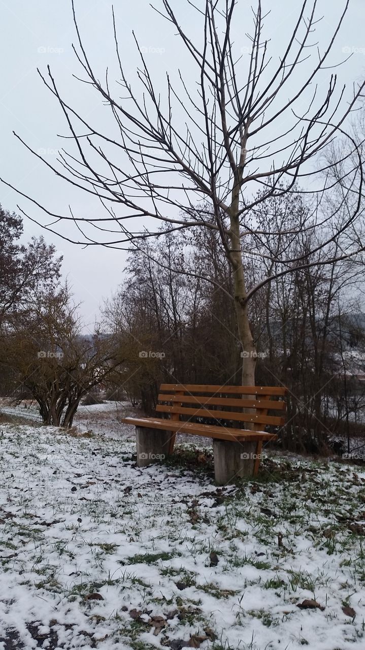 winter bench trees snow