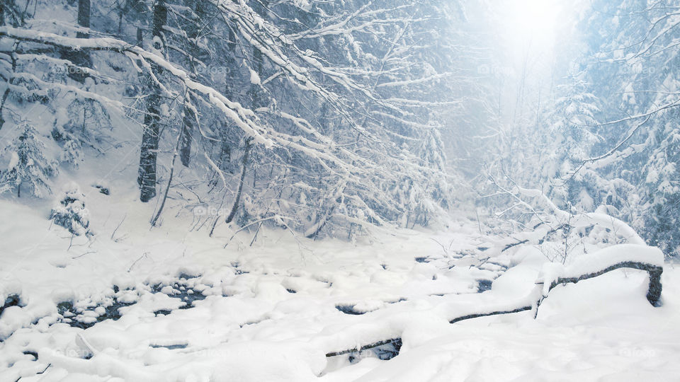 Snow, Winter, Cold, Mountain, Ice