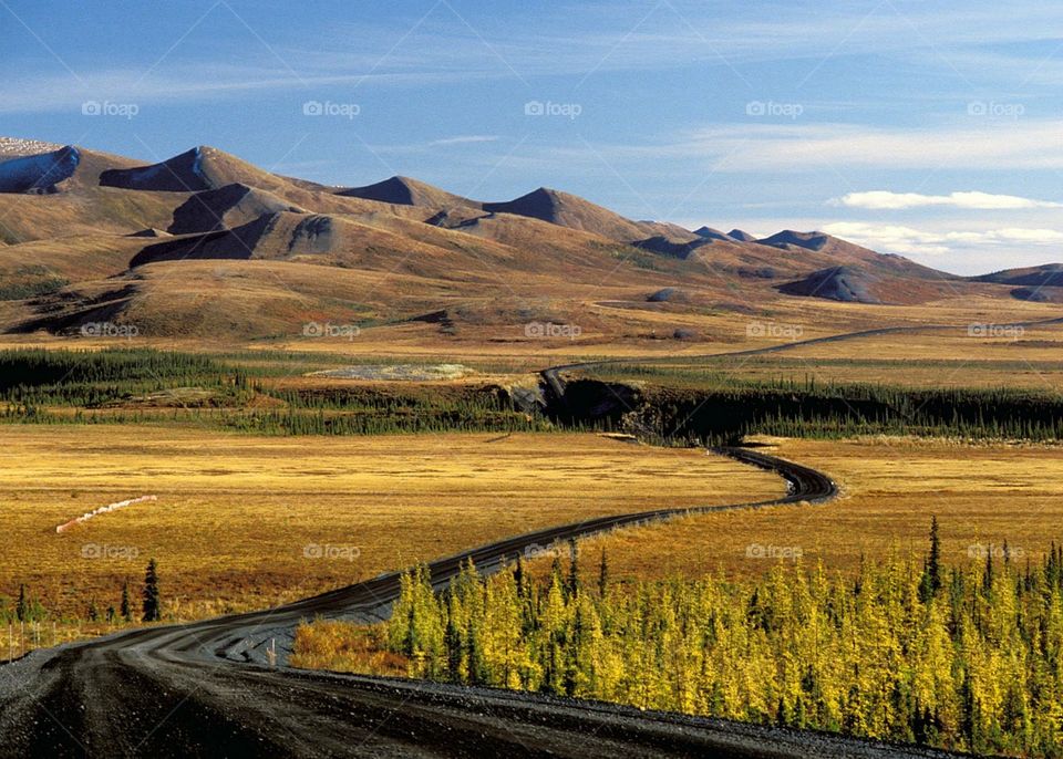 Beautiful arctic countryside 