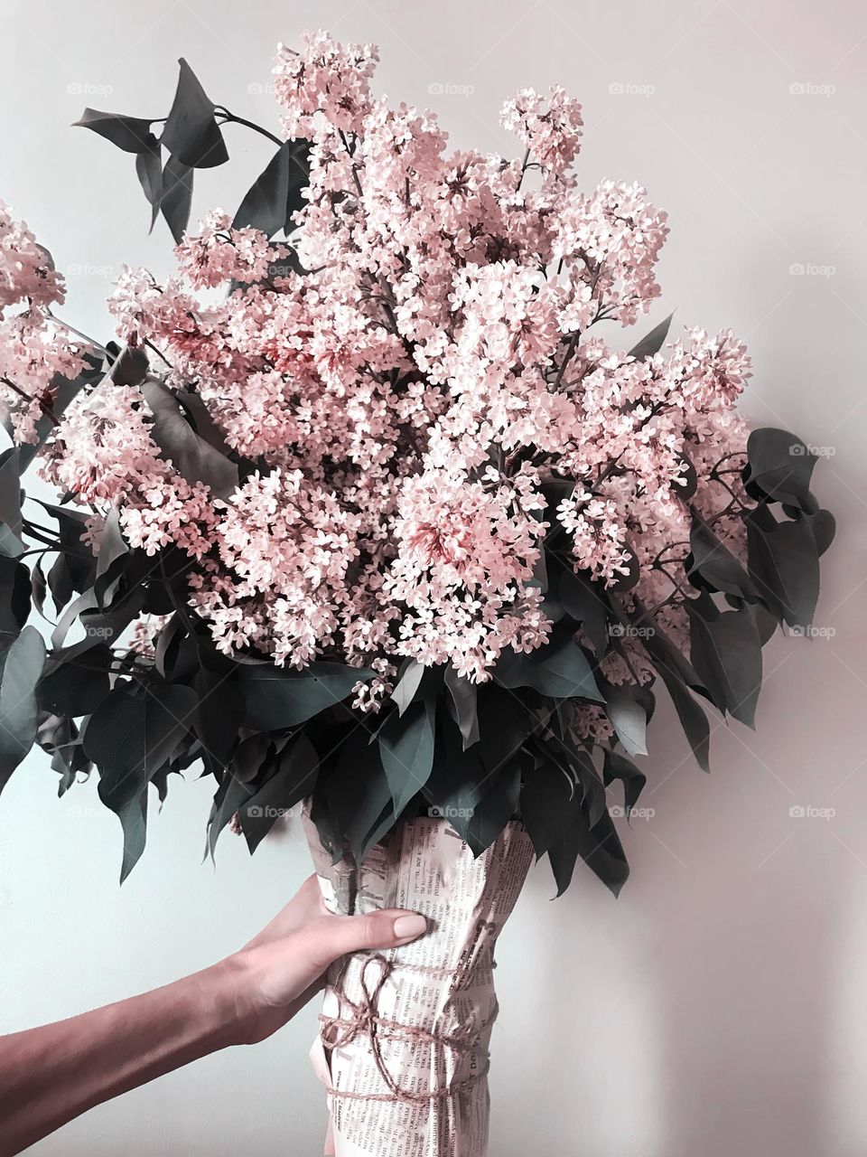 Bouquet of pink flowers 