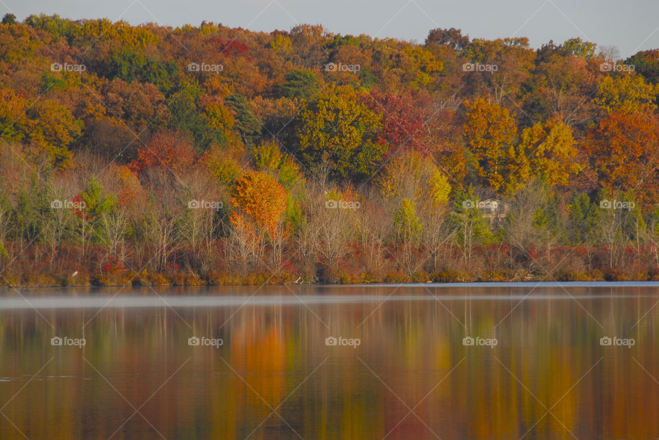 Autumn trees reflecting on lake