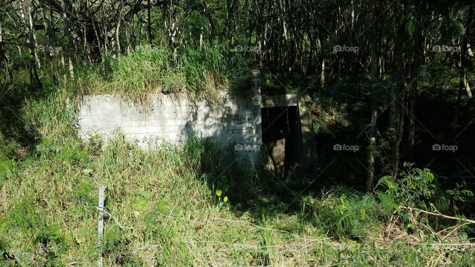 Old WWII bunk at Kualoa Ranch.