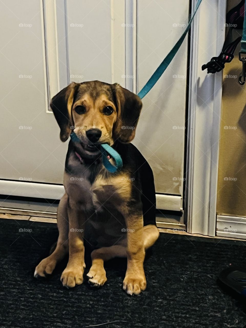 I’m ready for a walk!