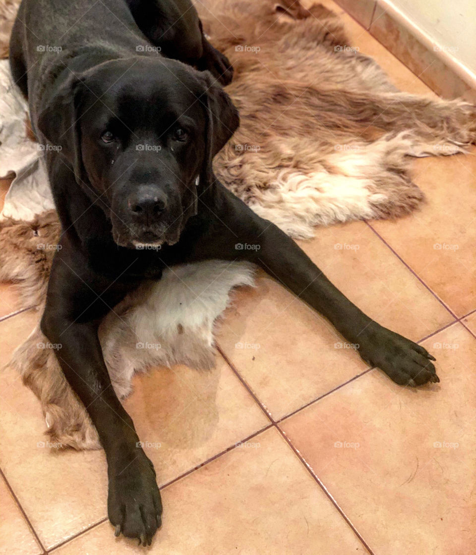 is it because i'm black?