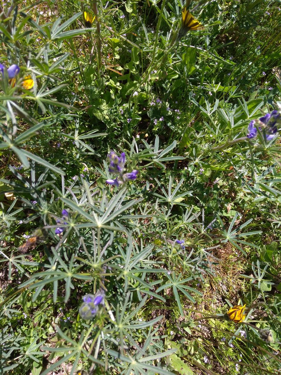 Editors' Choice - Photo of the Week