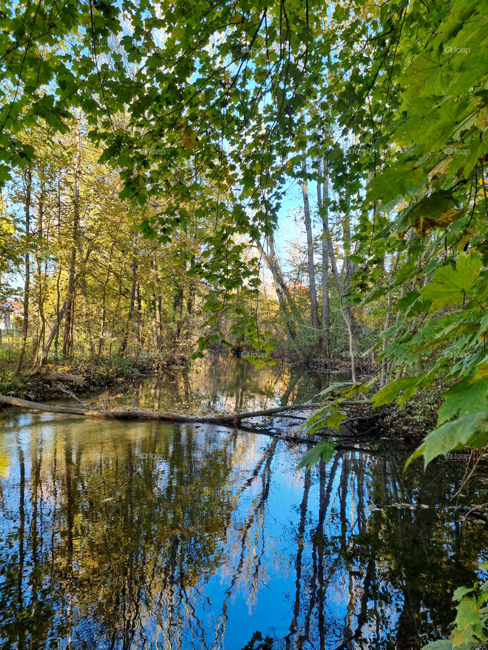 I went on a walk the other day and I saw this gorgeous scenery. I had to take a picture of it. This is why we do it right? To take with us forever memories of moments in time. I love the layers of this photo and how it shows the raw beauty of nature.