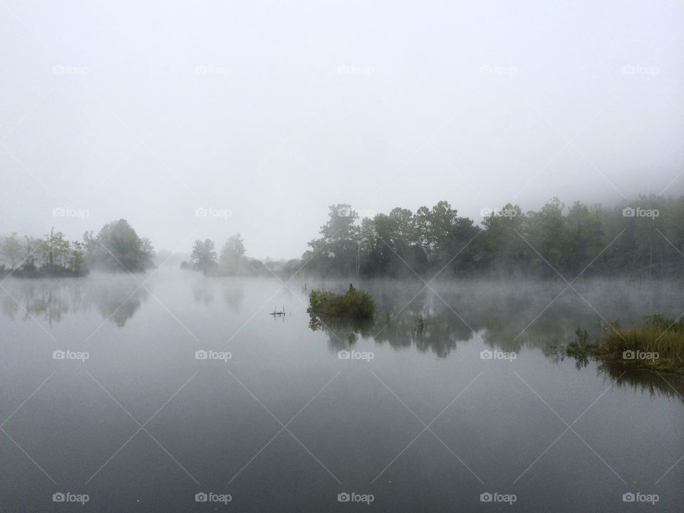 Fog over a lake