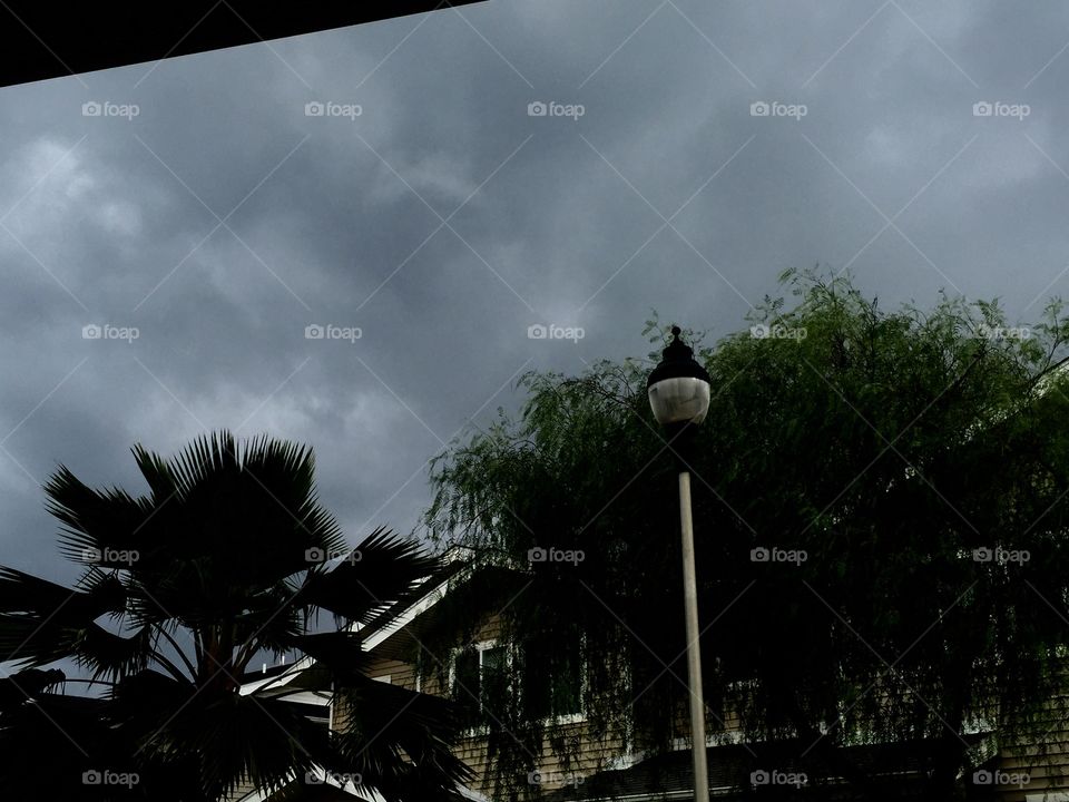 Something Wicked This Way Comes