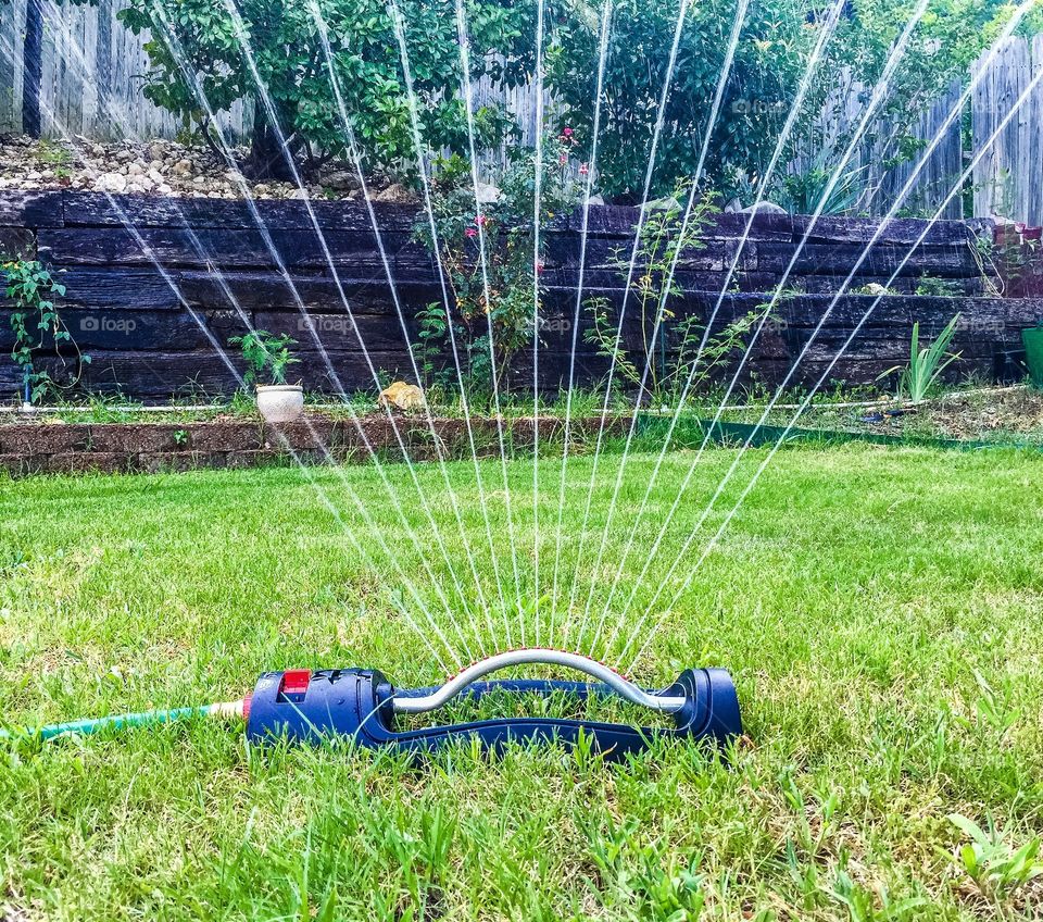Sprinkler