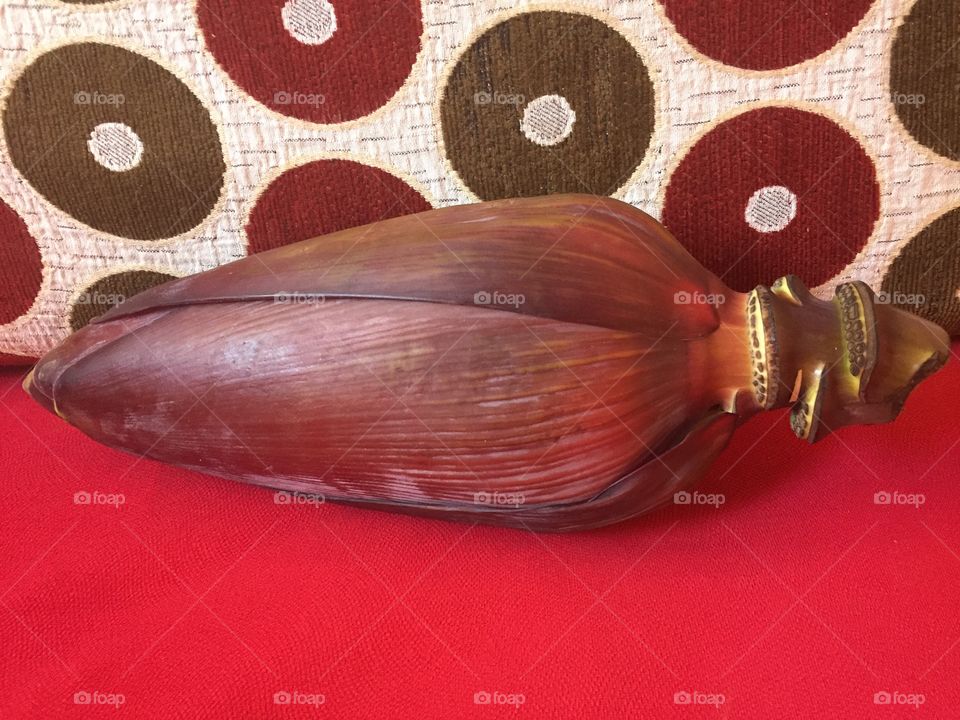 Red banana fruit bunch