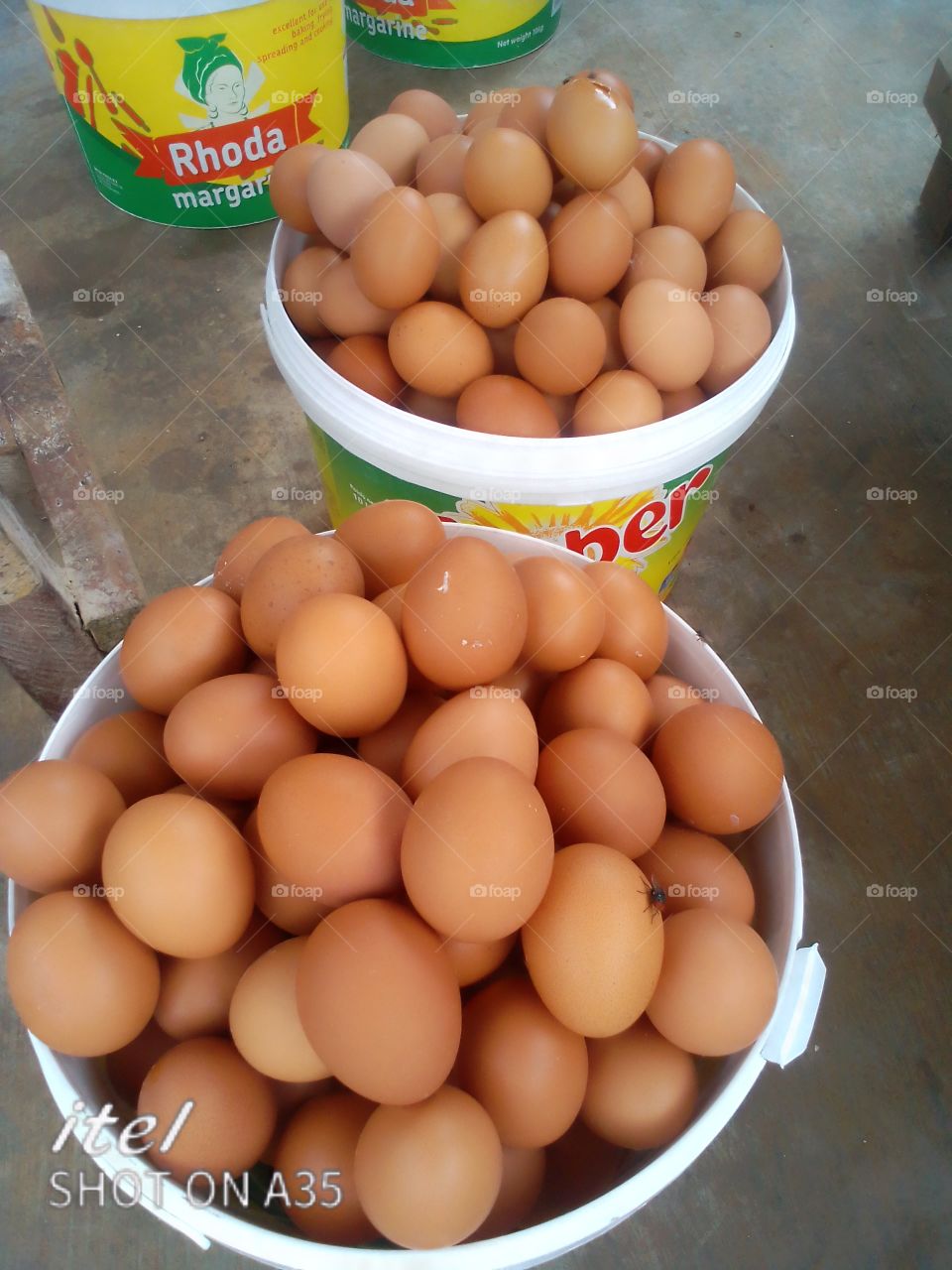 fresh eggs