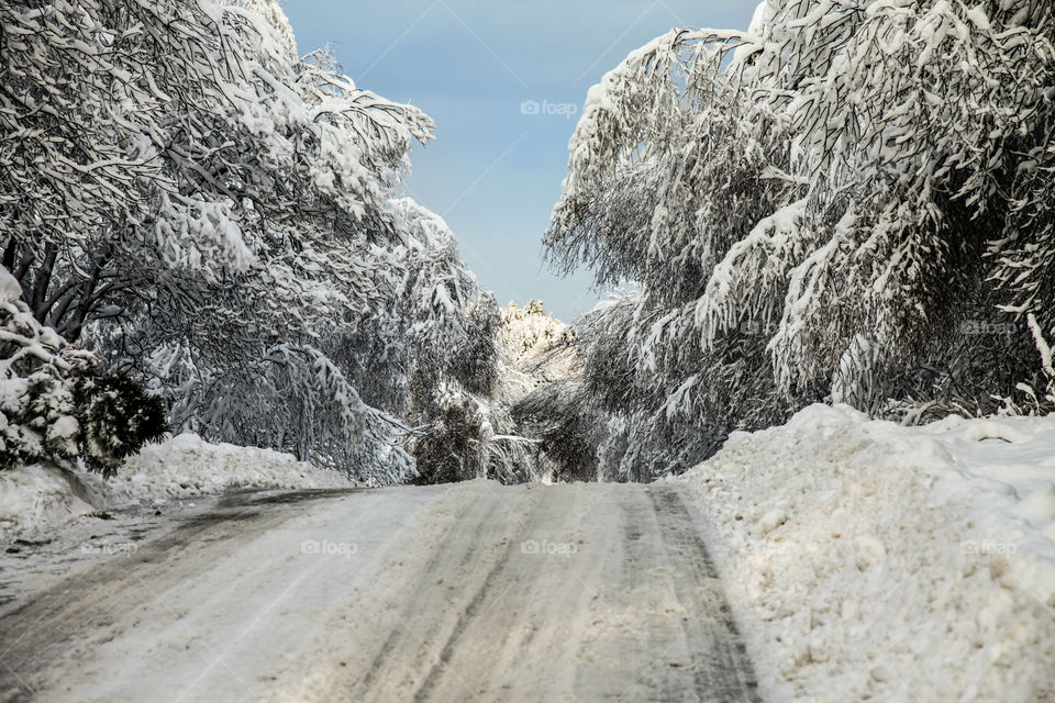 Heavy snow in the forest