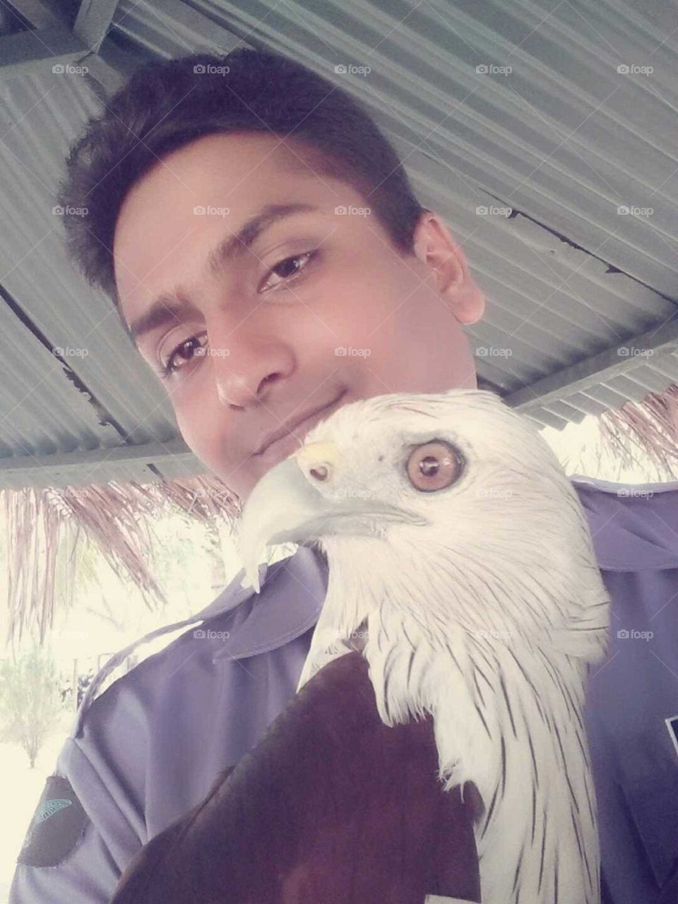 eagle with husband