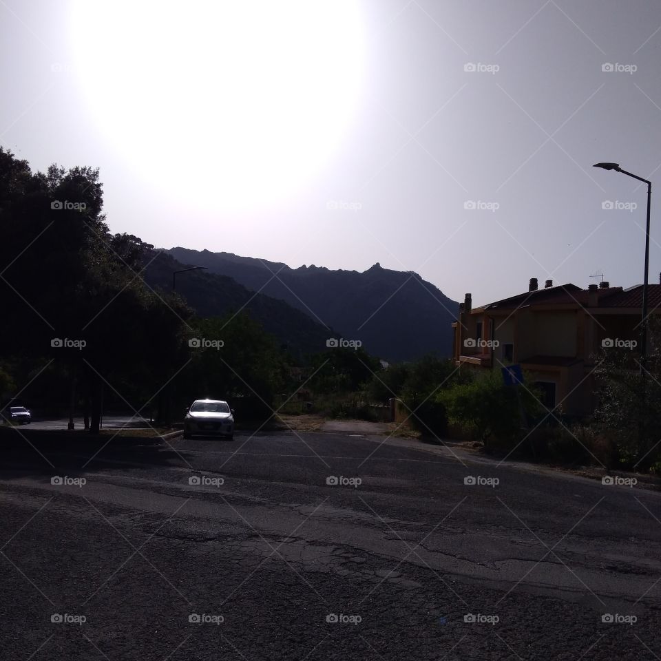 Sunlight in the morning