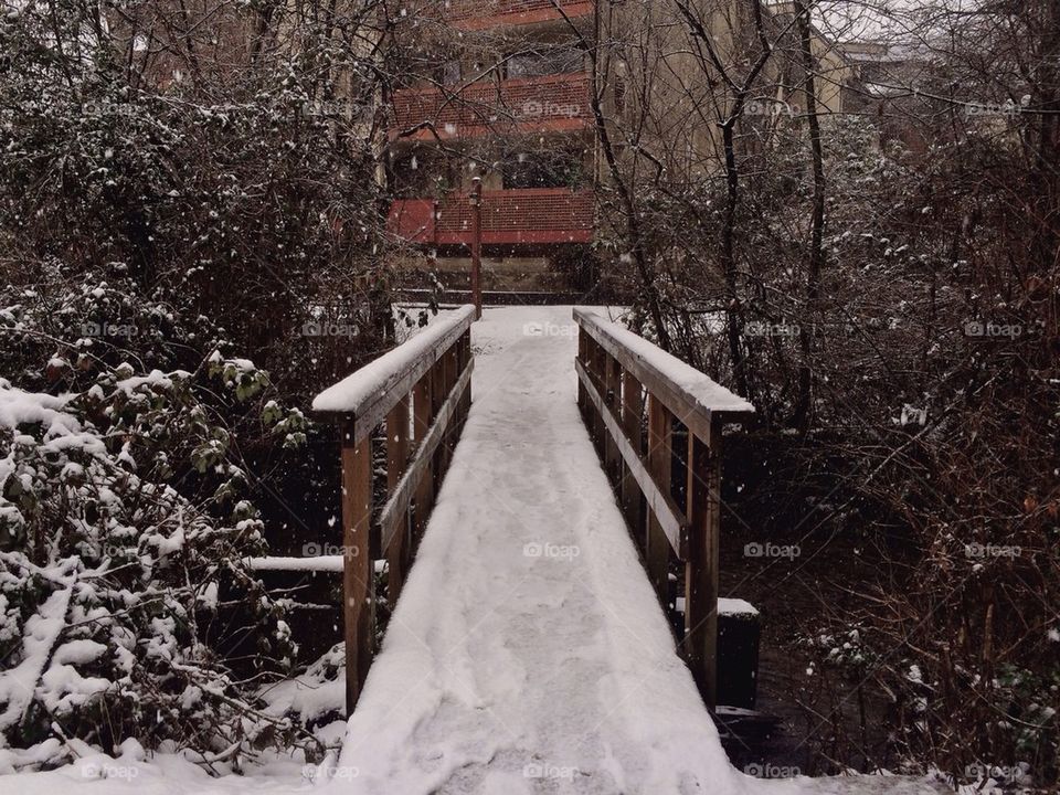 Snowy Bridge