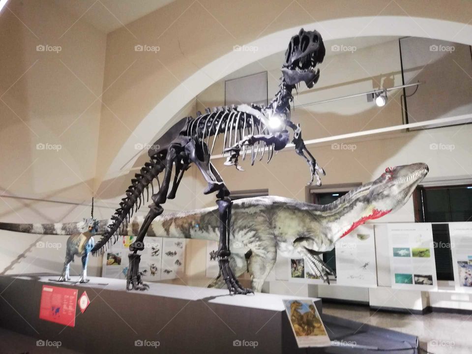 Dinosauro
