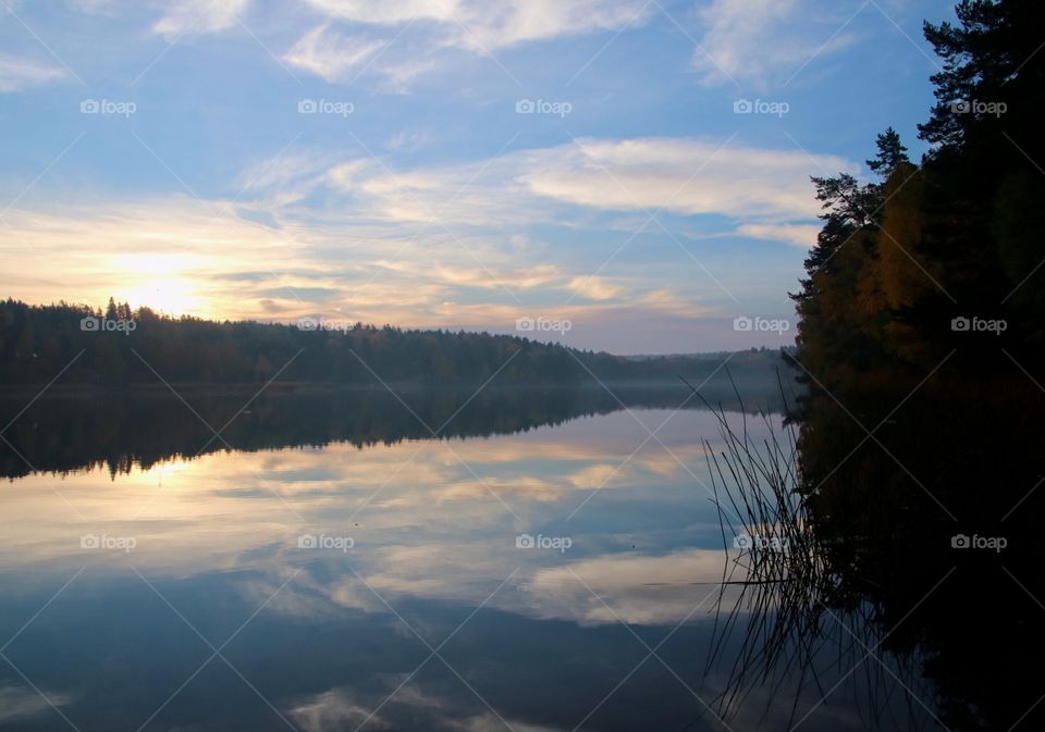 Foggy morning by the lake