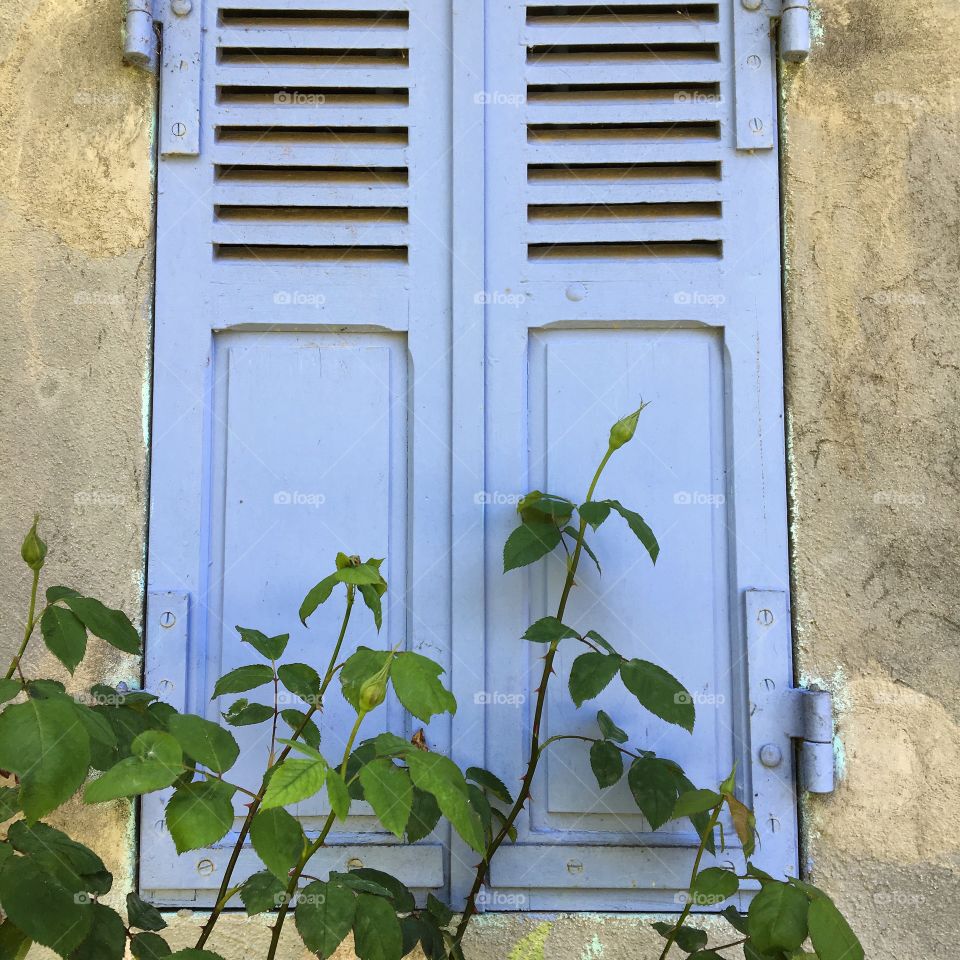 Blue Shutters