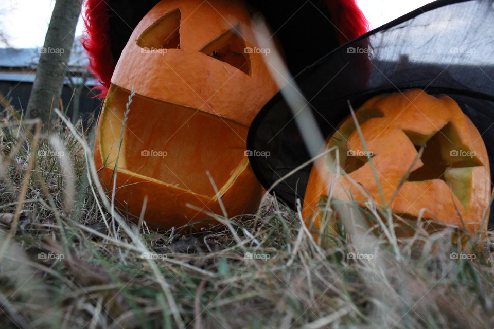 halloween's pumpkins with witches's hat